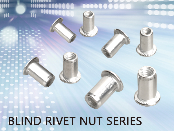 BLIND RIVET NUT SERIES BLIND RIVET NUT SERIES